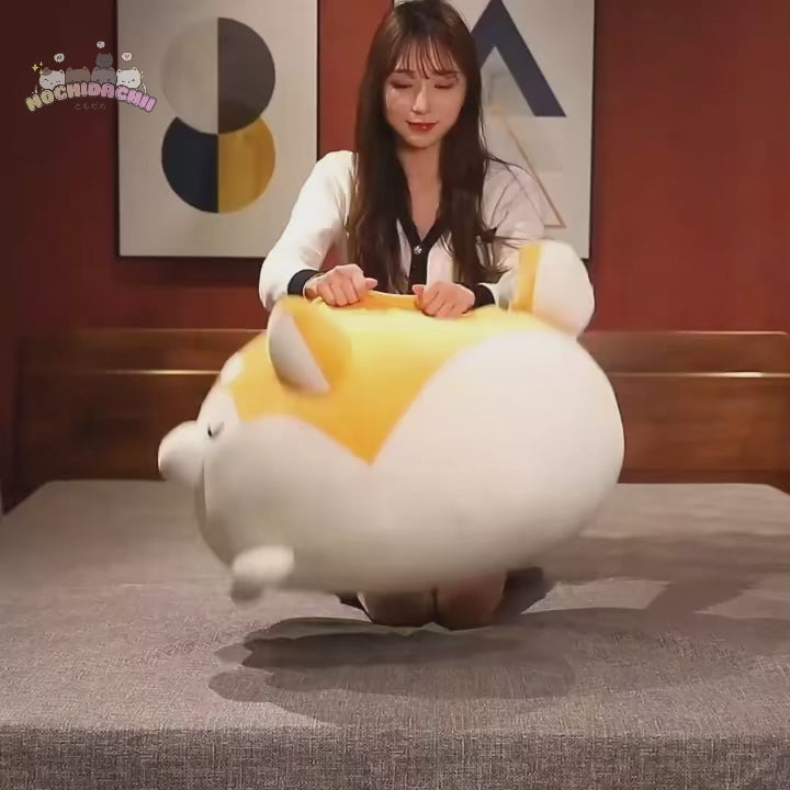 Muru, Bun & Aiko — The Akami Shiba Plushie Stack