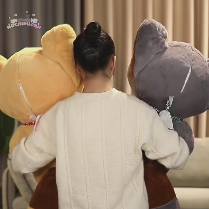 Mori & Kori — The Kawaii Raccoon Plushie Duo