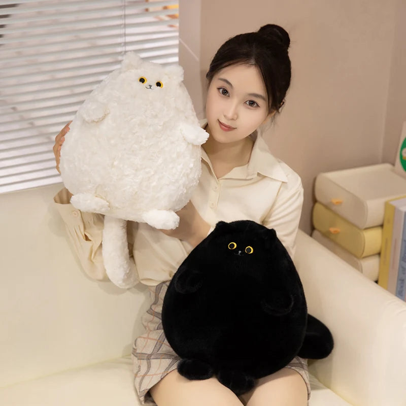 Ruru & Waru — The Kawaii Chonky Cat Plushie Duo