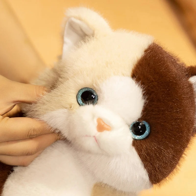 The Chubby Sitting Cat Plushie Trio My Store