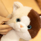 The Chubby Sitting Cat Plushie Trio My Store