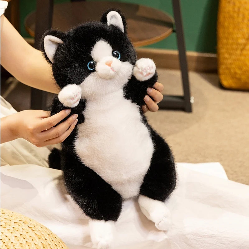 The Chubby Sitting Cat Plushie Trio My Store