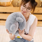 The Sleeping Alligator Crew Plushie My Store
