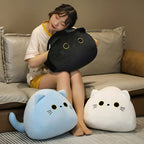 The Three Trichonky Cats Plushies — Mochidachii