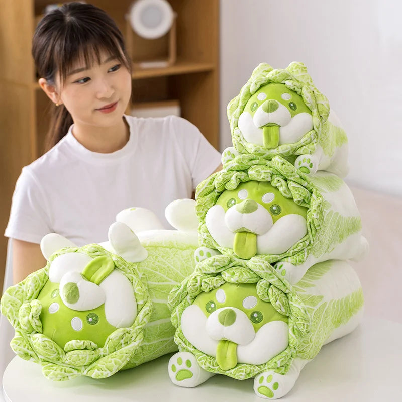 Veggi — The Veggie Wrapped Corgi Plushie